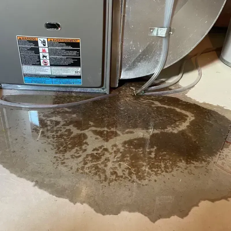 Appliance Leak Cleanup in Athens, IL